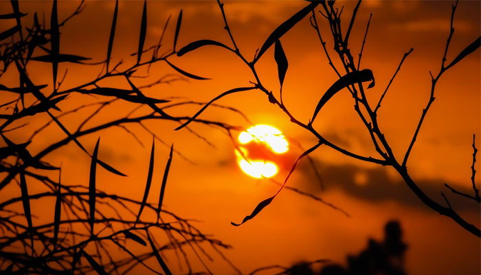 Representational image of a hot sunny day. — Pixabay/File