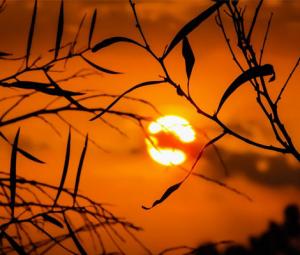 No respite for Karachiites as weather to remain hot