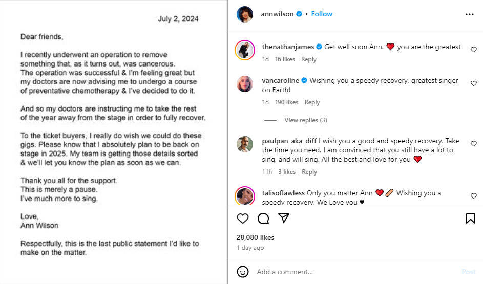 Ann Wilsons fans show support after her major health diagnosis