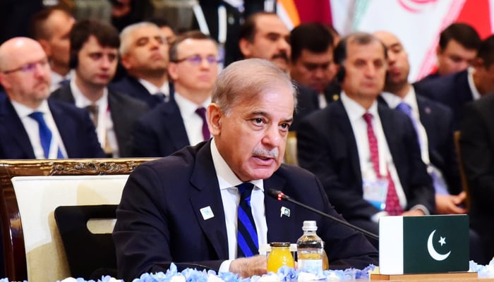 Prime Minister Shehbaz Sharif addressing the SCO summit in Astana, Kazakhstan, on July 4, 2024. — PMs Office