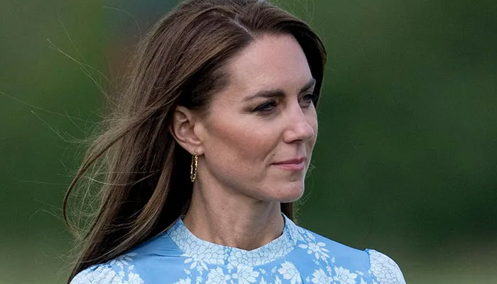 Kate Middletons unhinged dive into being media fodder exposed