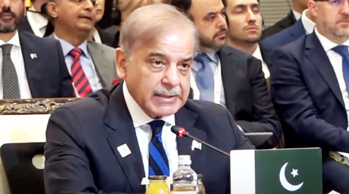 At SCO summit, PM Shehbaz says state terrorism must be condemned unambiguously