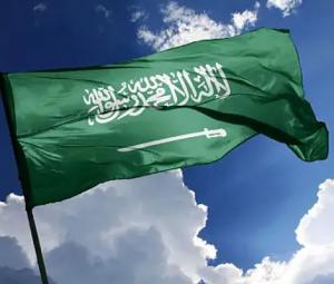 Saudi Arabia approves citizenship for foreign professionals