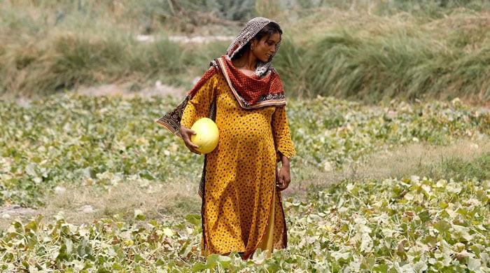 Impacts of climate change on pregnant women