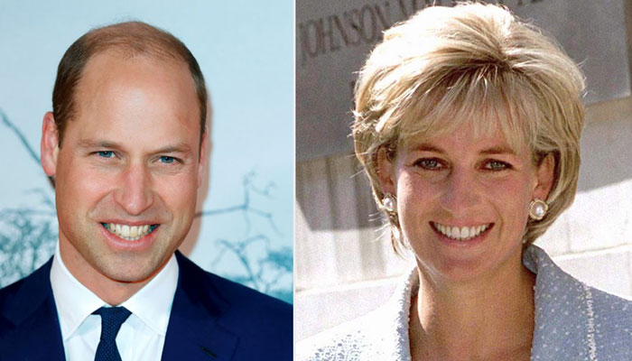 When Princess Diana channeled inner kid, made Prince William go bright red