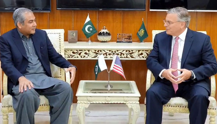 Interior Minister Mohsin Naqvi meets US Ambassador to Pakistan Donald Blome in Islamabad on July 13, 2024. — State Media
