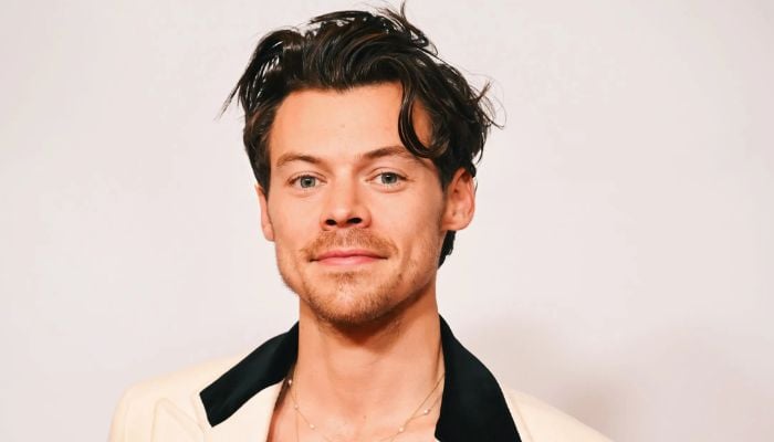 Harry Styles jaw-dropping mullet/mustache look sends fans into frenzy