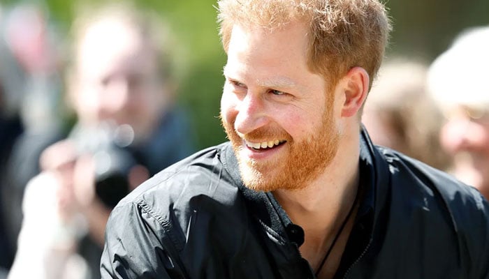 Prince Harrys plans for second memoir finally revealed