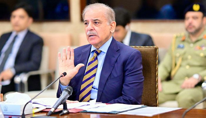 Prime Minister Muhammad Shehbaz Sharif addresses the federal cabinet in Islamabad on July 10, 2024. — Online