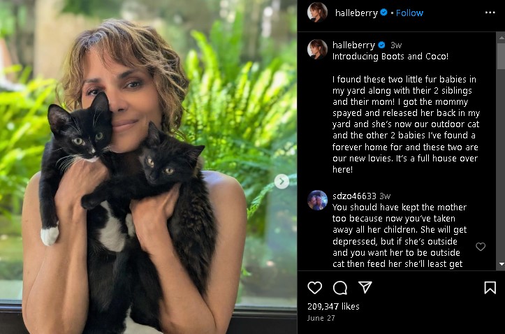 Halle Berry talked about her experience playing the iconic Catwoman role