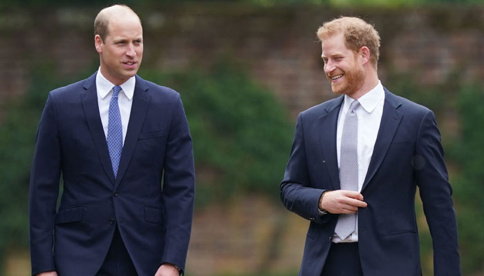 Prince Harry’s UK plans at risk as William takes major step