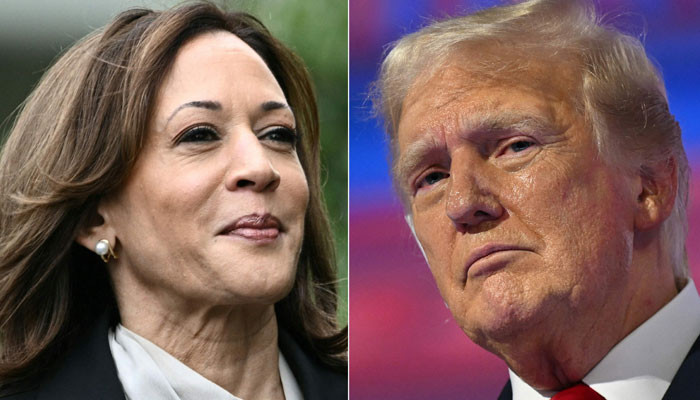 Kamala Harris leads Donald Trump 44% to 42% in US presidential race: survey