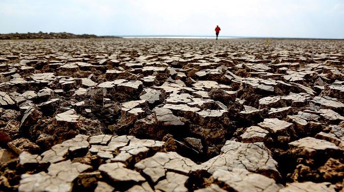 In pursuit of climate prosperity