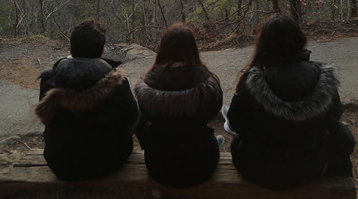 Meray humraaz: The guardians of my solitude 