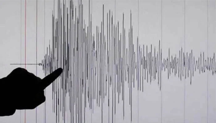 Picture showing a Richter scale reading — Reuters/File