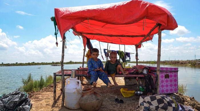 District disparities and gender shifts