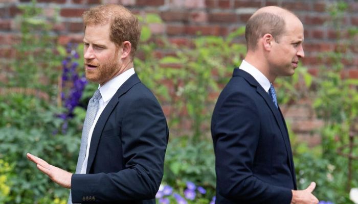Prince William, Harry interact with family & friends but avoid each other