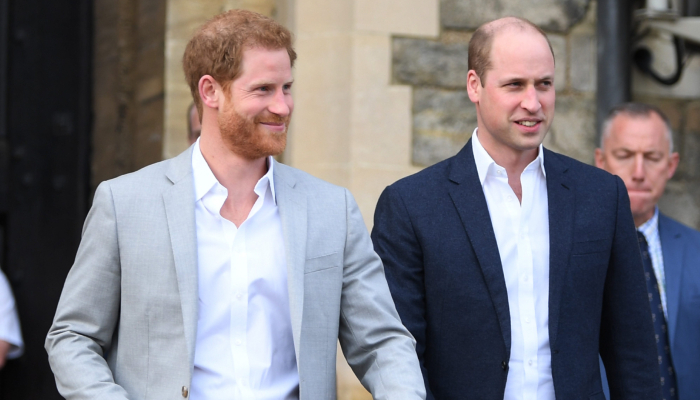 Vicar shares surprising details about Prince Harry, William reunion