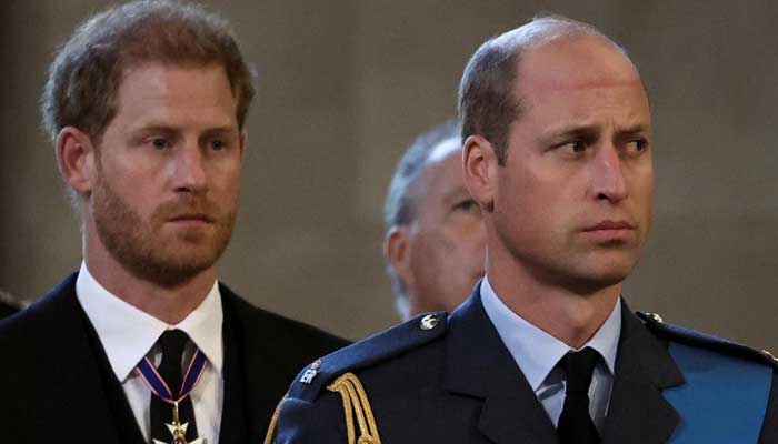 Prince Harry makes heartbreaking admission about encounter with William, royals