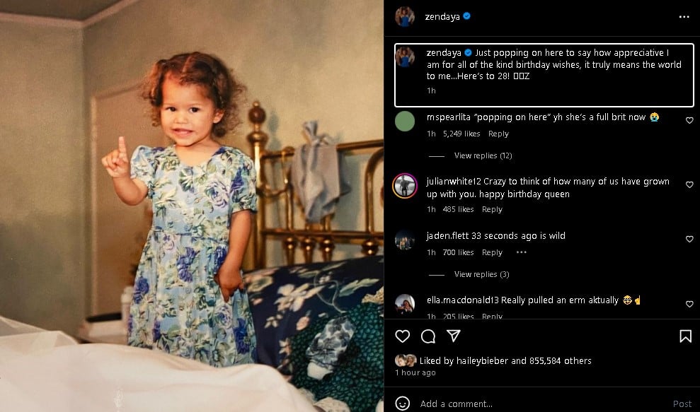 Zendaya celebrated her 28th birthday on September 1, 2024