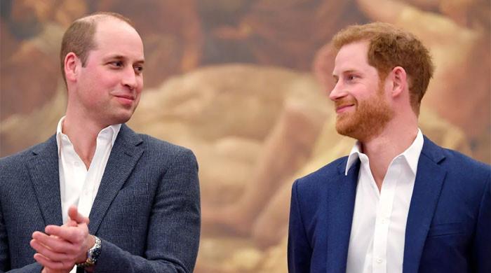 Prince William ‘companionship’ pushed Harry into ‘early temptations’