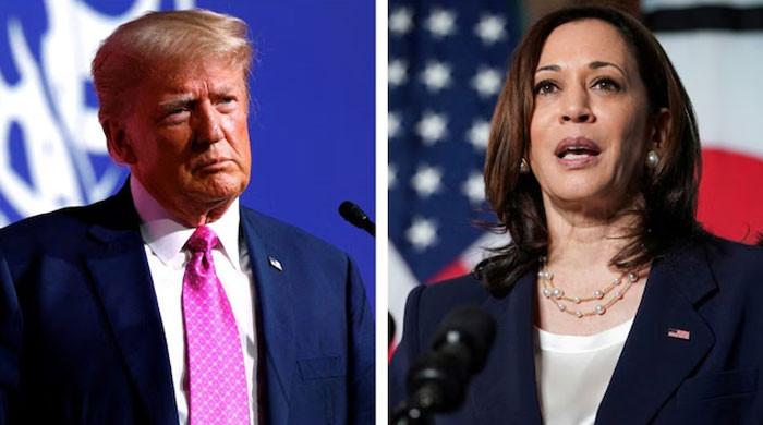 Ten former top US military officials back Harris, call Trump ‘a danger’