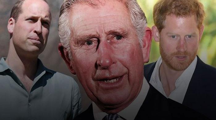 King Charles, Prince William face pressure to bring Prince Harry back