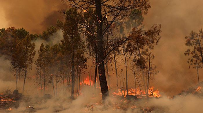 Deadly Portugal wildfires force new evacuations