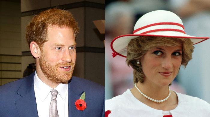 Princess Diana was deeply worried about Harry before death