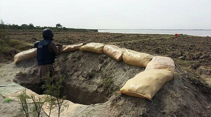 The Katcha's criminal nexus