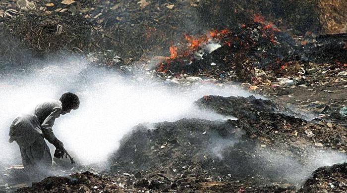 From deforestation to trash piles: How Pakistan's eco-unfriendly habits are hurting nation?