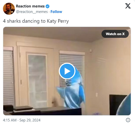 Katy Perrys gig at AFL finale gets hilarious reaction