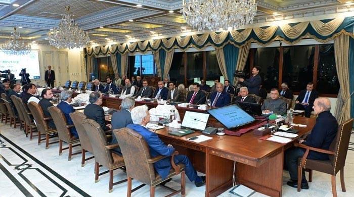 Govt plans to privatise more bodies under rightsizing policy