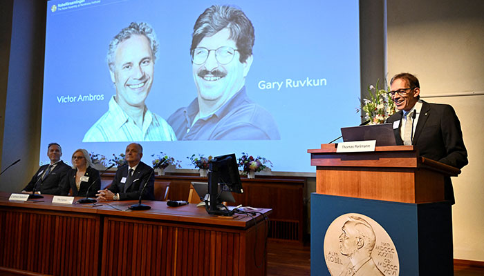 Thomas Perlmann, secretary of the Nobel Assembly and Nobel Committee, speaks as Victor Ambrose and Gary Rubkun are awarded this year's Nobel Prize in Physiology or Medicine in Stockholm, Sweden, October 7, 2024. — Reuters