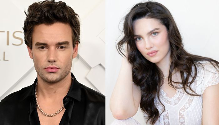 Liam Payne's ex-fiancee makes huge accusation against One Direction star