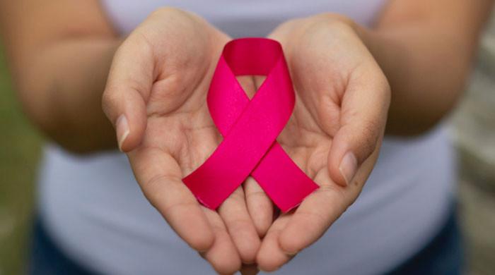 REPLUG: Surviving breast cancer: From mastectomy to 'pink' of health