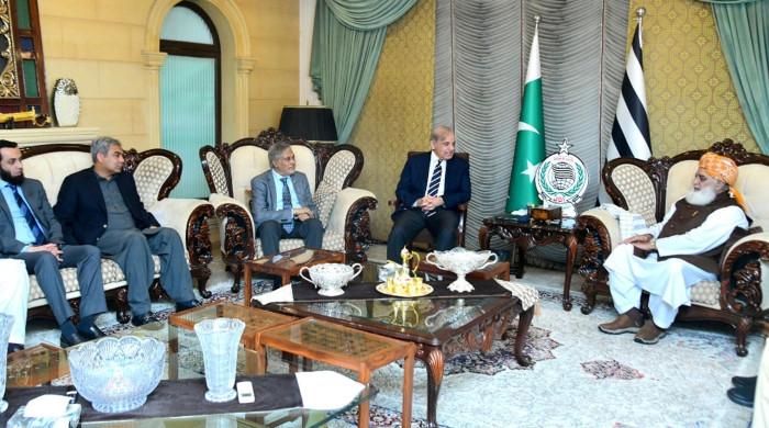 JUI-F suggests govt form constitutional bench instead of court