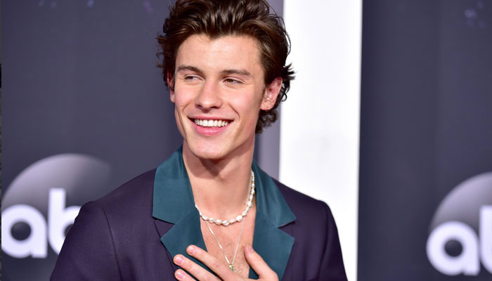 Shawn Mendes credits therapy for becoming his best self