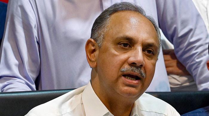 PTI claims govt offering lawmakers 'bribes' to back constitutional amendments 