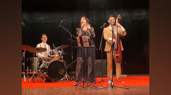 World Culture Festival: Music lovers dance to beat at mega concert 4.0