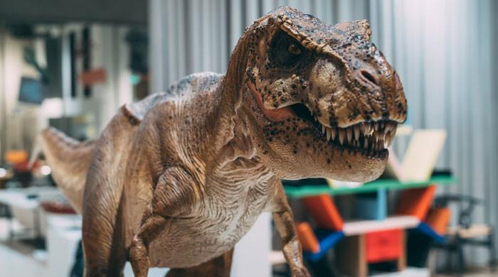 Scientists revive extinct animals via robots to uncover evolutionary secrets