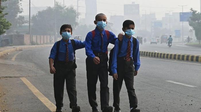 PDMA declares smog calamity in Punjab, advises on mitigation PDMA declares smog calamity in Punjab, advises on mitigation