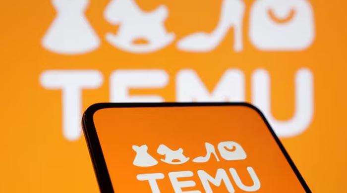 EU probes shopping app Temu over illegal products
