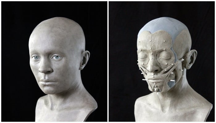 Scientists rebuild face of 400-year-old Polish