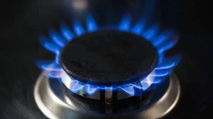 Govt mulls uniform gas pricing for all consumer categories