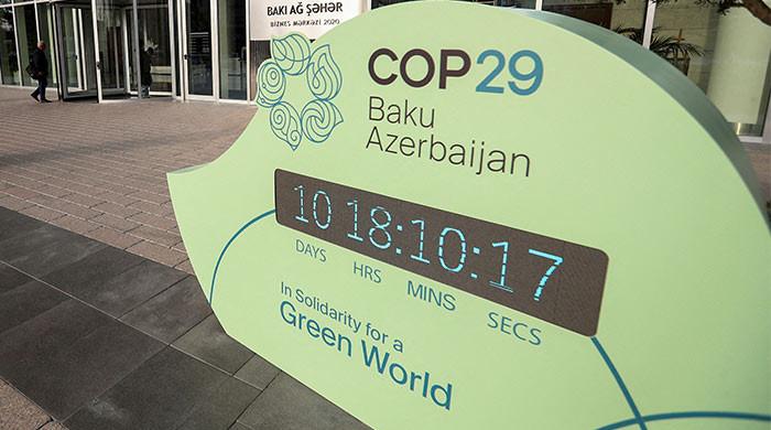 A ten-point agenda for COP29