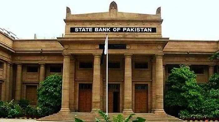 PIC directs SBP to provide list of employees with dual nationality in 10 days
