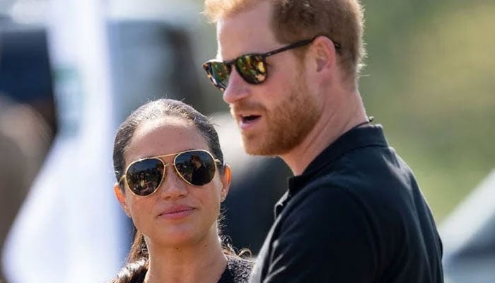 Prince Harry, Meghan Markle’s Sussex brands lack of focus holds it back