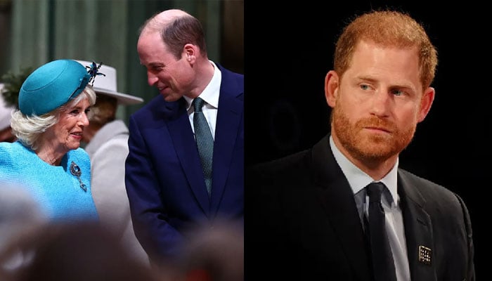 Prince William, Queen Camilla join forces to plot revenge against Prince Harry