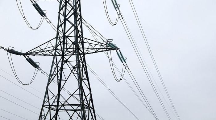 Govt to introduce major reforms to tackle power sector's woes: minister